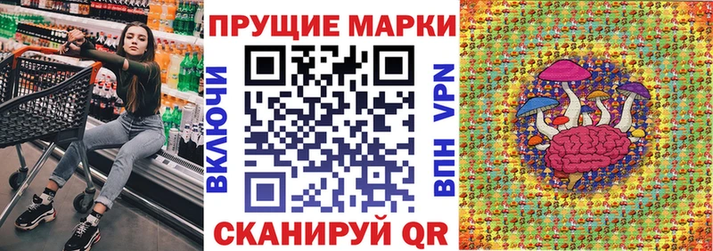 Марки N-bome 1,8мг  Купить закладки  Вязники 